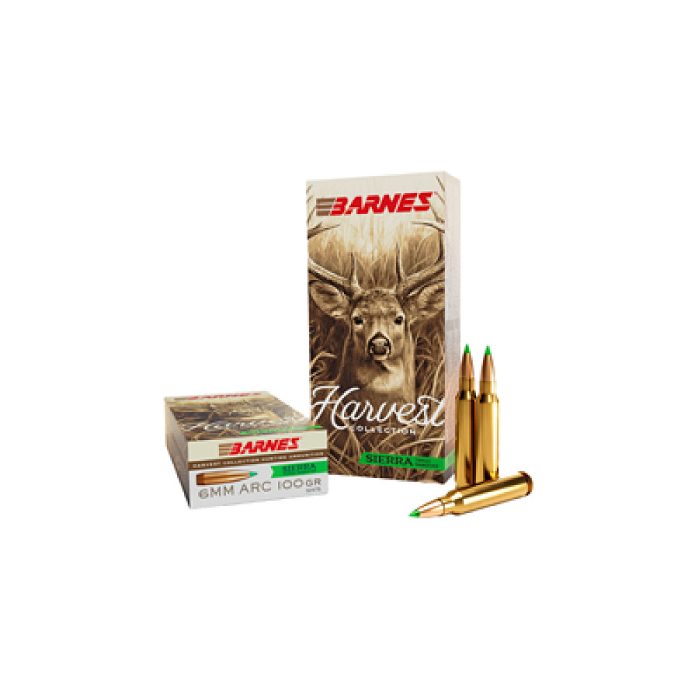 BARNES HARV ST 6MM ARC 100GR 20/200