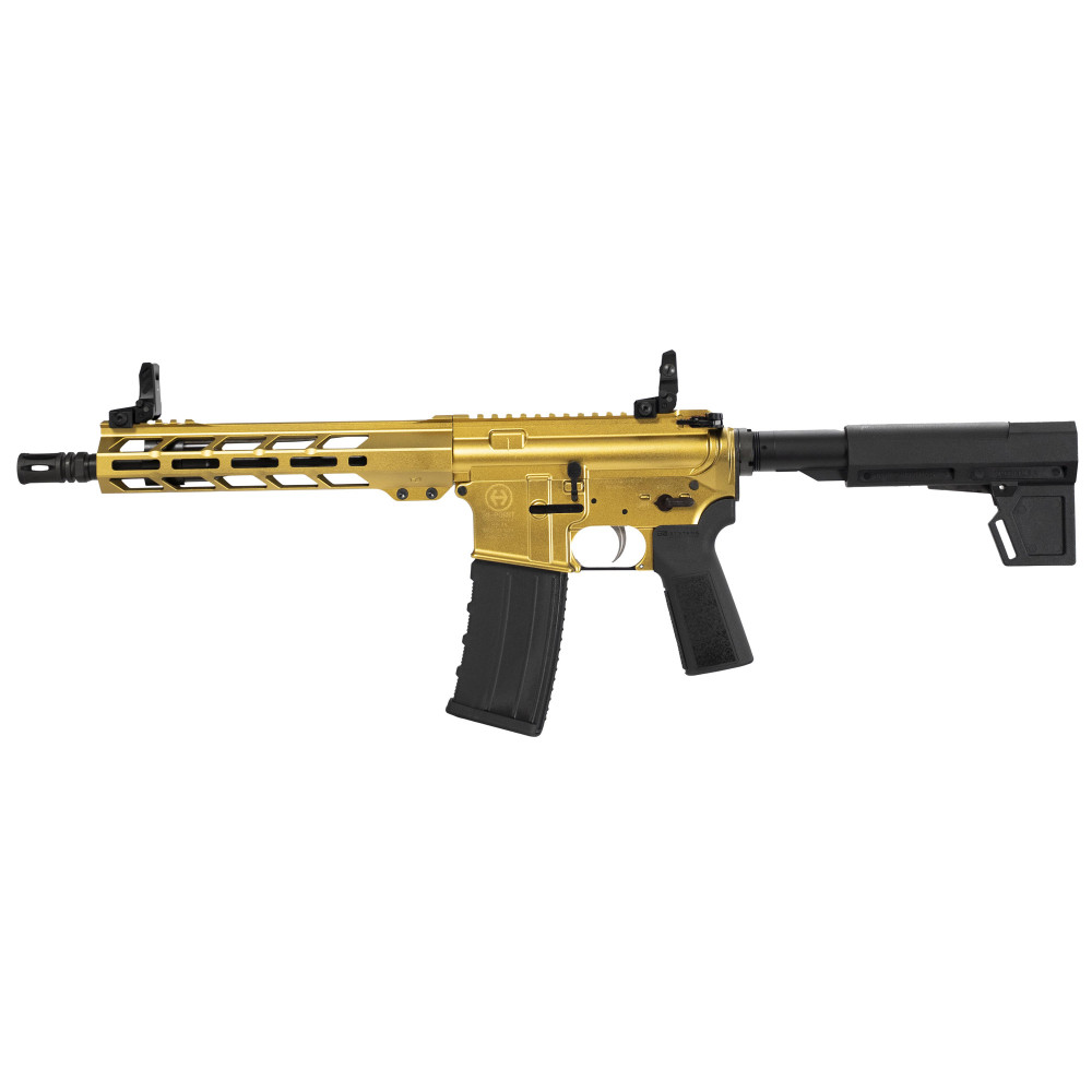 HI-PT HP-15 300BLK 10.5 30RD GLD BRC