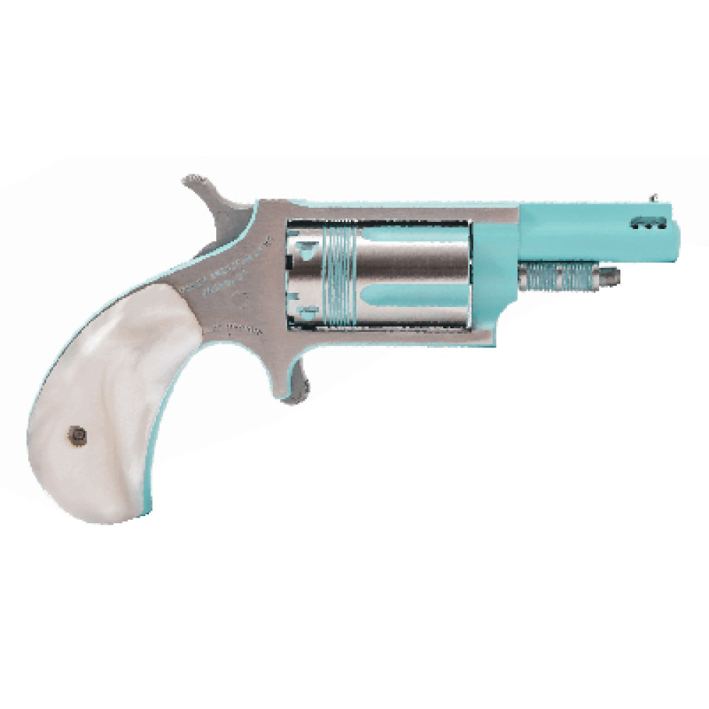 NAA MINI REV IRIS 22WMR 5RD TURQ/SLV