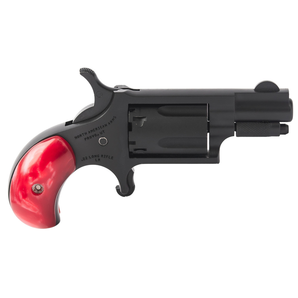 NAA MINI REV ZORRO 22LR W/BUCKLE BK