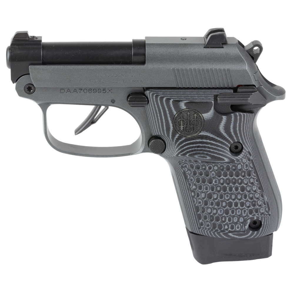 Beretta Bobcat 20X 22LR 2.4" 8RD Gray