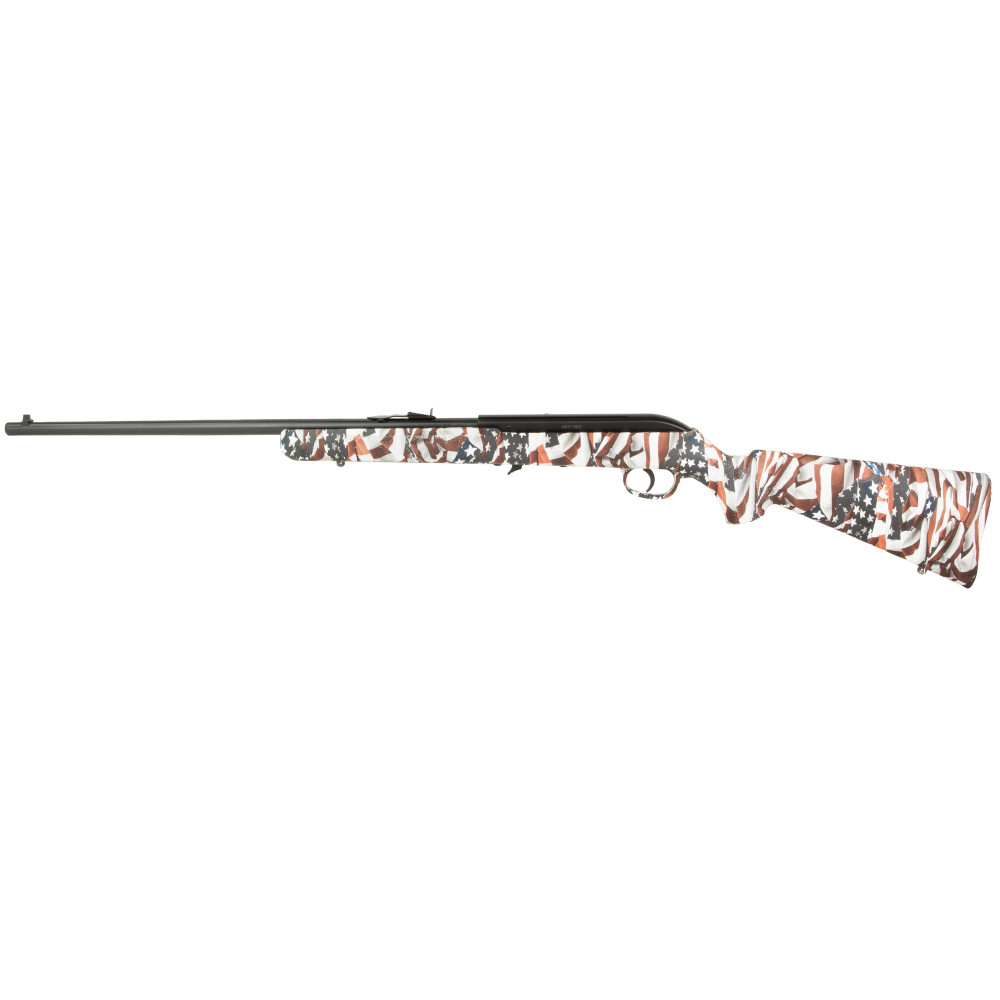 SAV 64F 22LR 21" 10RD R/W/B FLAG