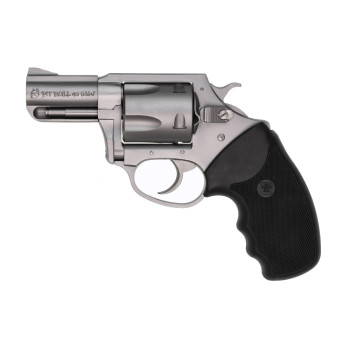 CHARTER ARMS PITBULL 40S&W 2.5" SS